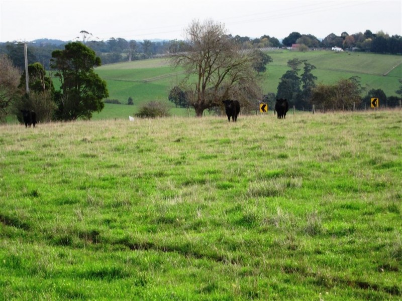 1 Corner of Korumburra Warragul Road and Manns Road, Ellinbank VIC 3821