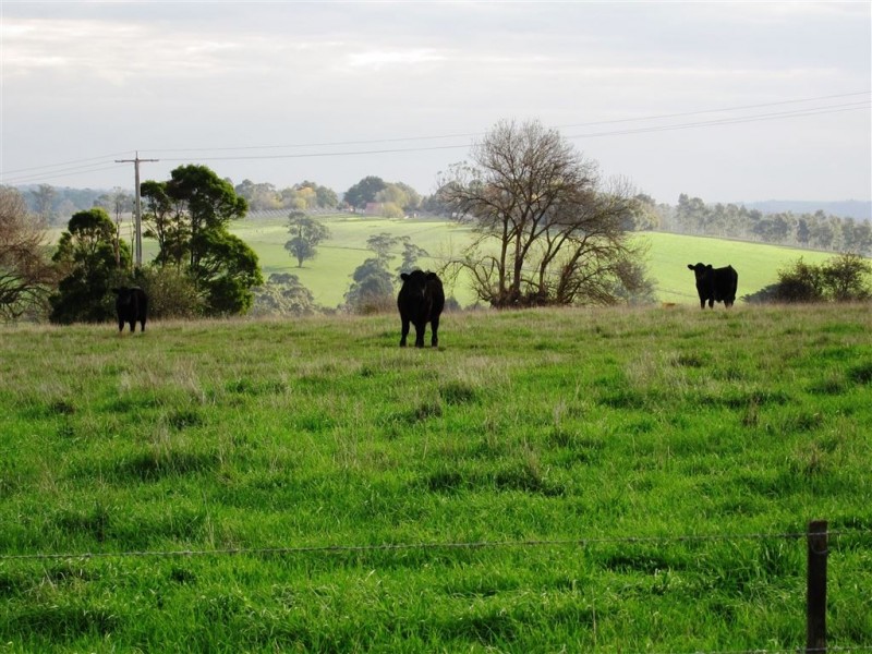 1 Corner of Korumburra Warragul Road and Manns Road, Ellinbank VIC 3821