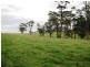 1 Corner of Korumburra Warragul Road and Manns Road, Ellinbank VIC 3821