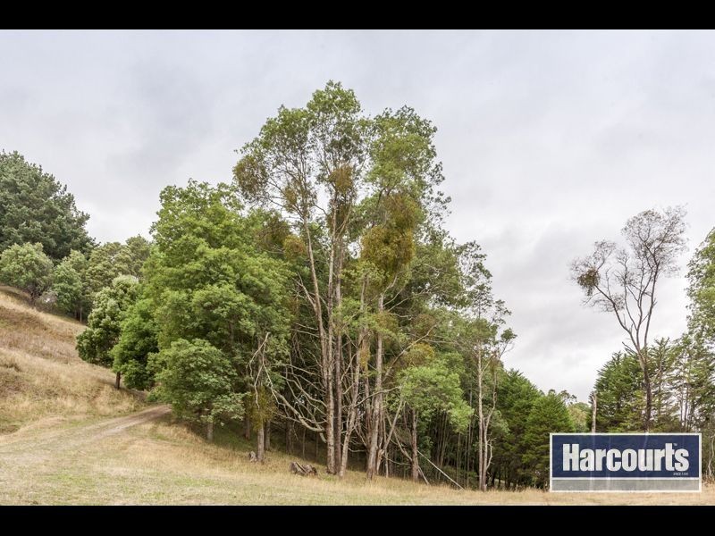 15 Hogan Lane, Trafalgar South VIC 3824