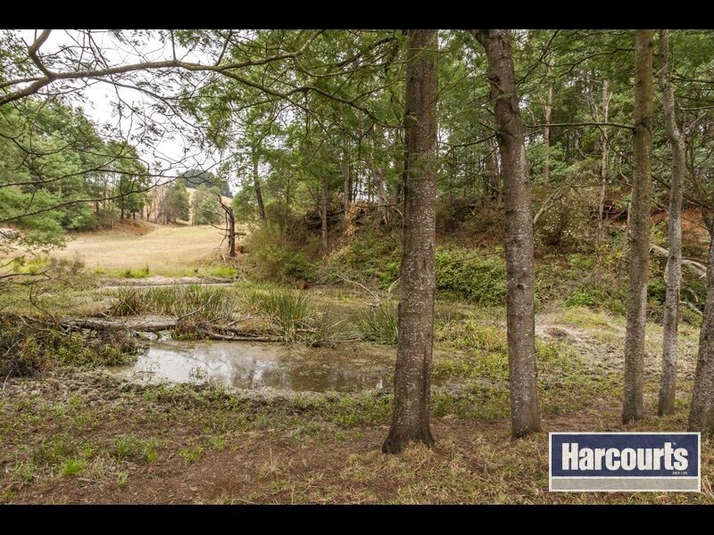 15 Hogan Lane, Trafalgar South VIC 3824