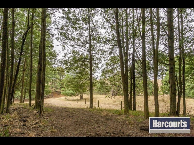 15 Hogan Lane, Trafalgar South VIC 3824