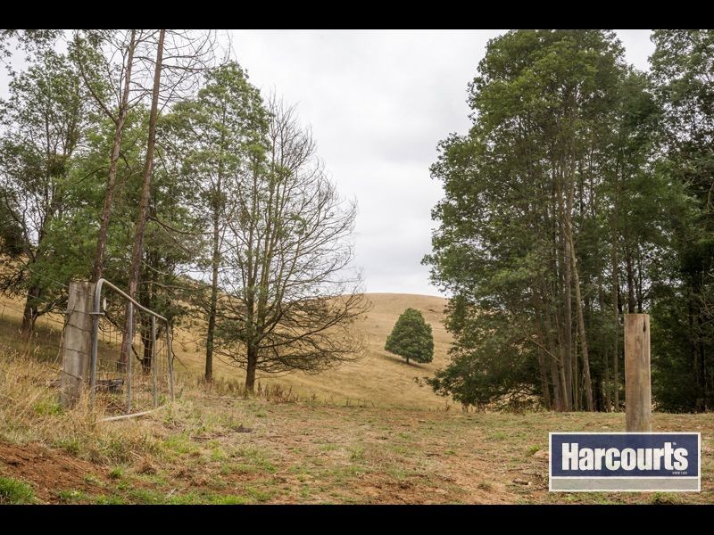 15 Hogan Lane, Trafalgar South VIC 3824