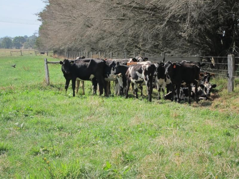 9 &10 & 11 Factory Road, Yarragon VIC 3823