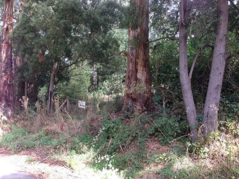 977 Narracan Connection Road, Narracan VIC 3824
