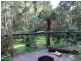 289 Mt Baw Baw Tourist Road, Noojee VIC 3833
