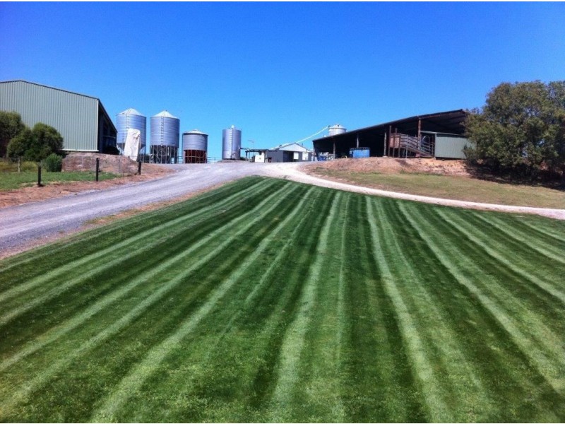 185 O’Gilvys Lane, Poowong VIC 3988