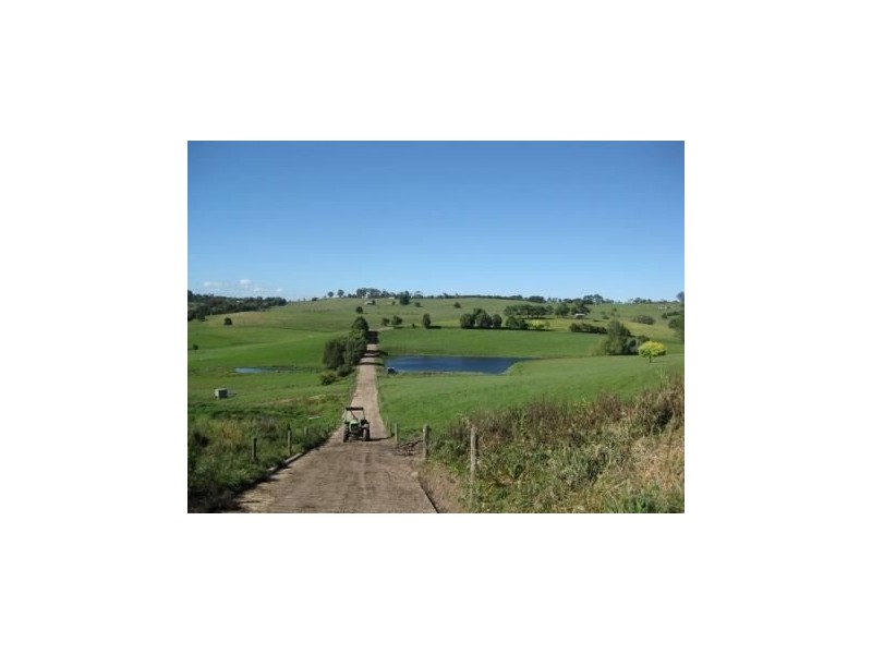 185 O’Gilvys Lane, Poowong VIC 3988