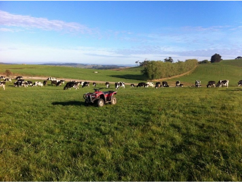 185 O’Gilvys Lane, Poowong VIC 3988