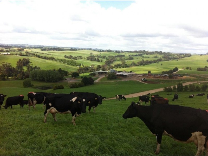 185 O’Gilvys Lane, Poowong VIC 3988