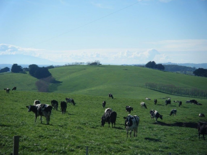 185 O’Gilvys Lane, Poowong VIC 3988