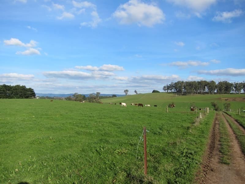 201 Dollarburn Road, Warragul VIC 3820