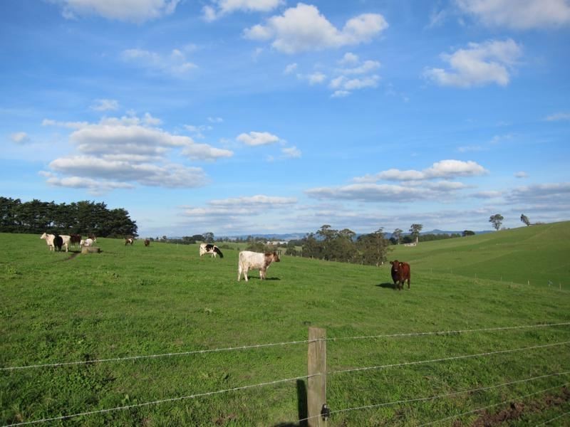 201 Dollarburn Road, Warragul VIC 3820