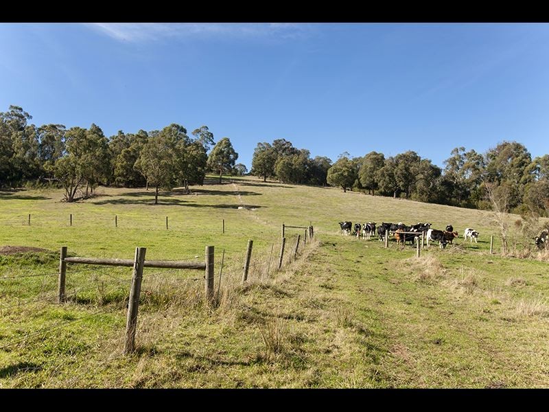 149 Hunts Road, Willow Grove VIC 3825
