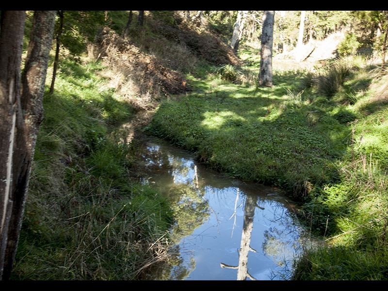 149 Hunts Road, Willow Grove VIC 3825