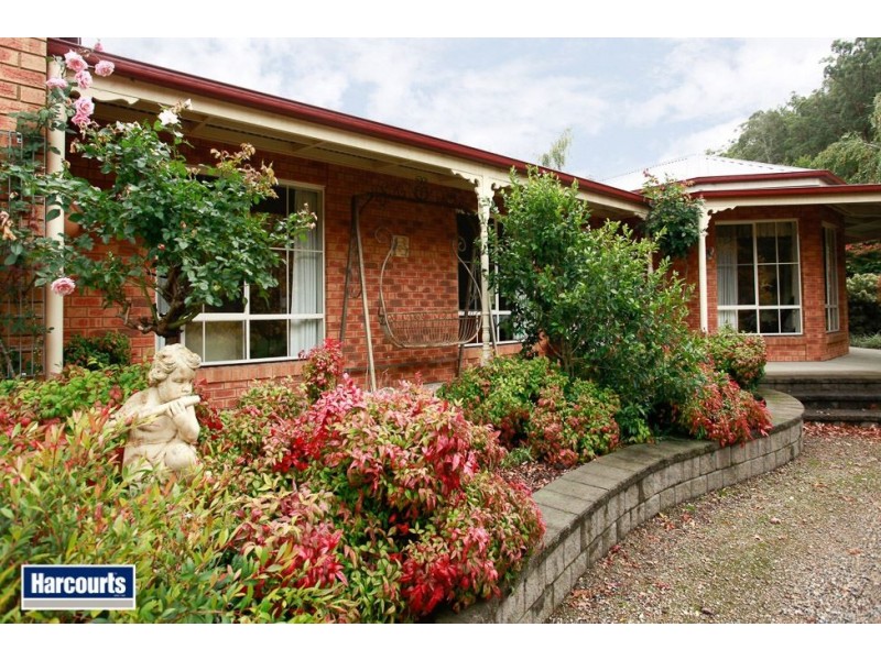 135 Latrobe River Road, Neerim South VIC 3831