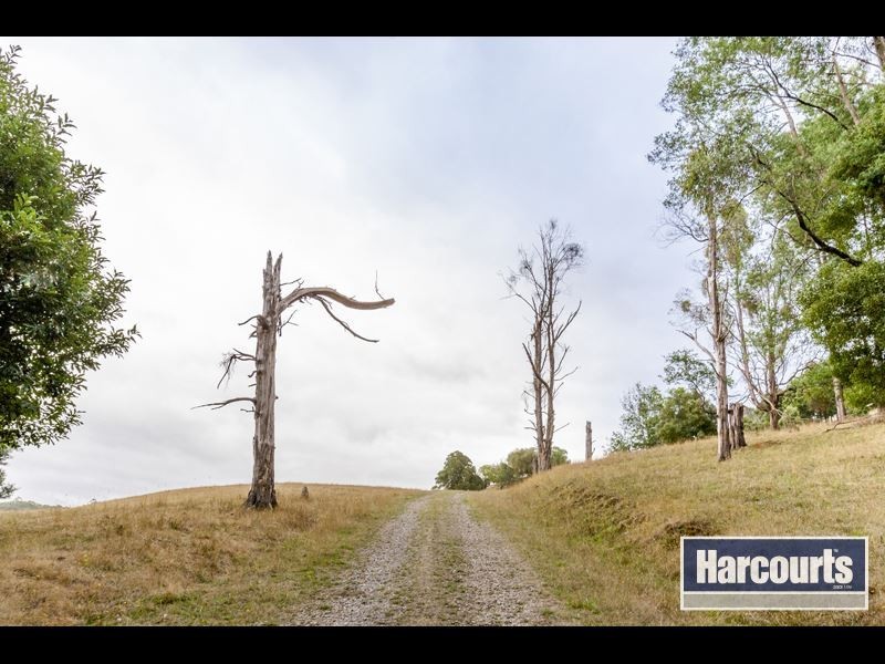 15 Hogan Lane, Trafalgar South VIC 3824