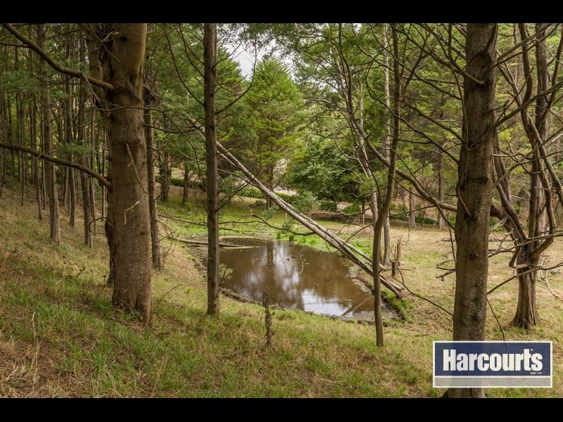 15 Hogan Lane, Trafalgar South VIC 3824