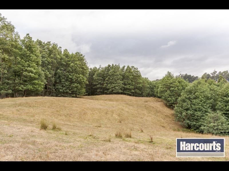 15 Hogan Lane, Trafalgar South VIC 3824