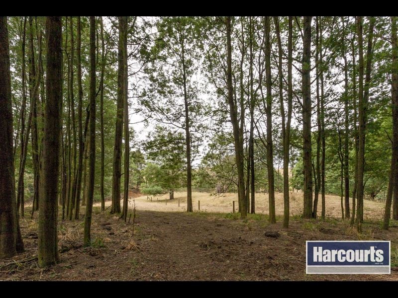 15 Hogan Lane, Trafalgar South VIC 3824