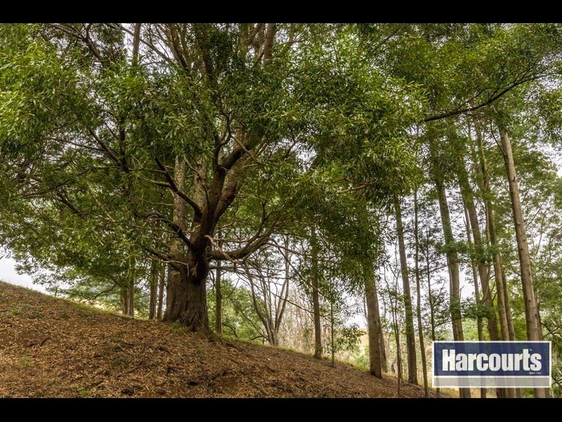 15 Hogan Lane, Trafalgar South VIC 3824