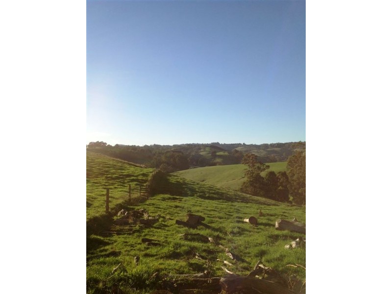 2576 Korumburra Warragul Road, Tetoora Road VIC 3821