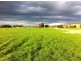 185 Ogilvys Road, Poowong VIC 3988