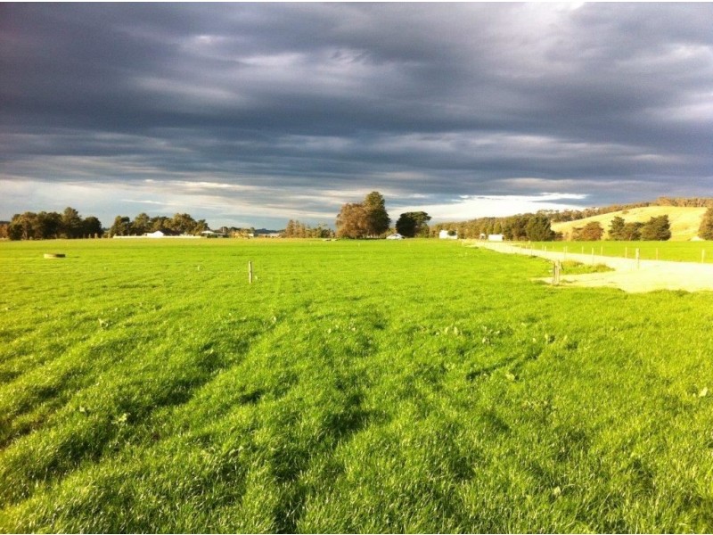 185 Ogilvys Road, Poowong VIC 3988
