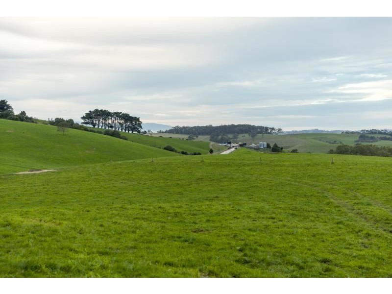 185 Ogilvys Road, Poowong VIC 3988