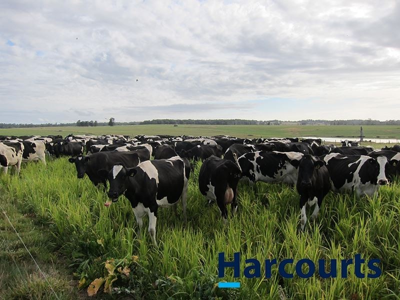 555 Drouin Korumburra Road, Drouin South VIC 3818