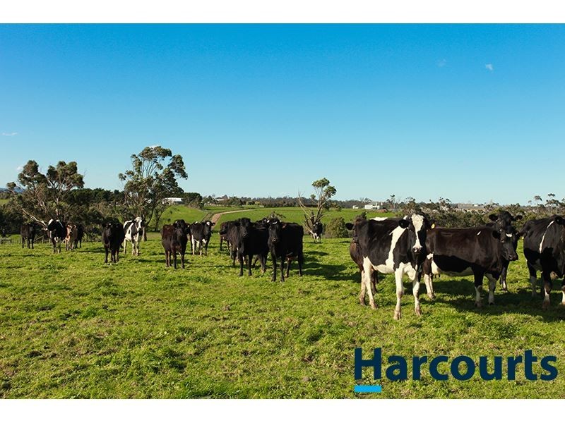 678 Shady Creek Road, Yarragon VIC 3823