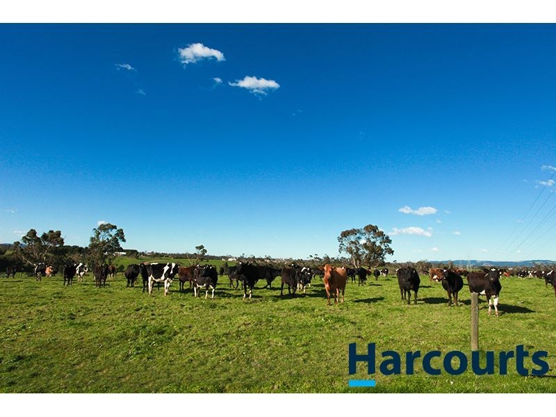 678 Shady Creek Road, Yarragon VIC 3823