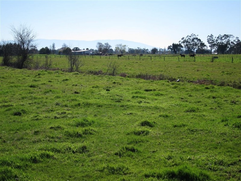 96 Trickeys Road, Yarragon VIC 3823