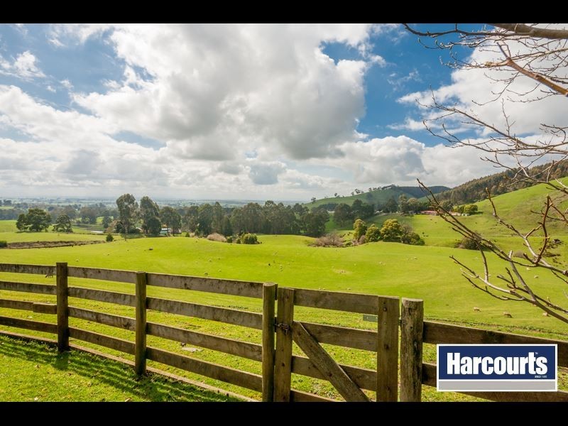 146 Petersons Road, Ellinbank VIC 3821