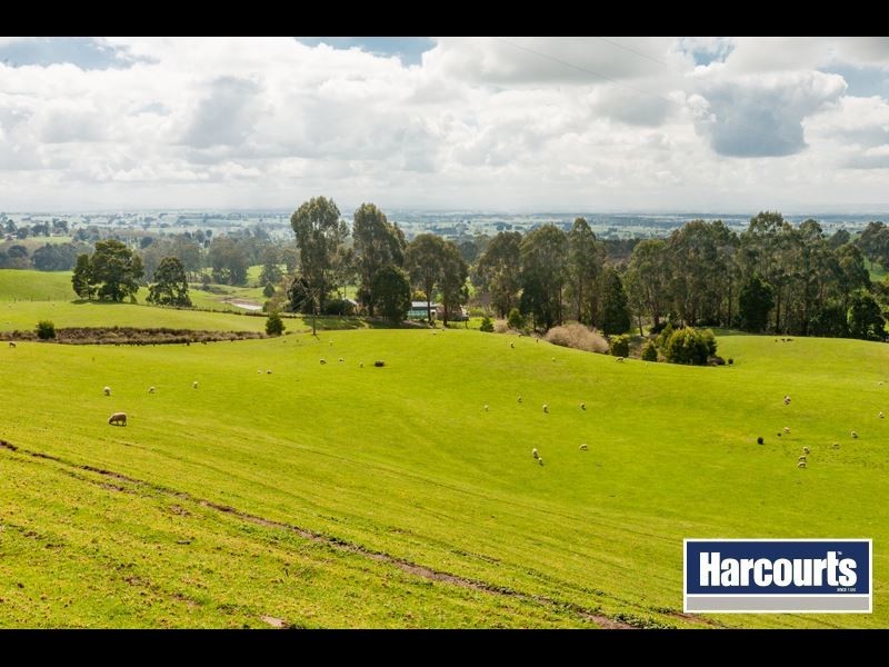 146 Petersons Road, Ellinbank VIC 3821
