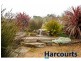 243 Lillico Road, Lillico VIC 3820