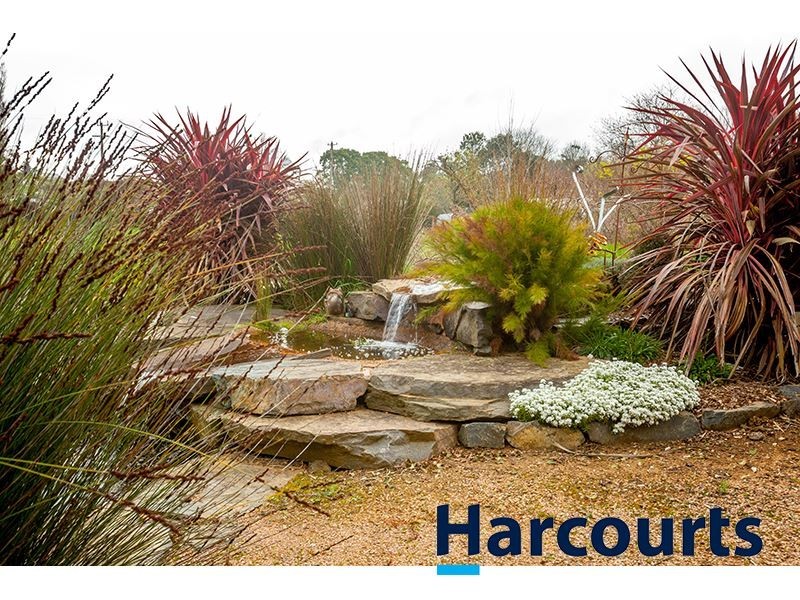 243 Lillico Road, Lillico VIC 3820