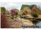 243 Lillico Road, Lillico VIC 3820
