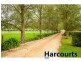 243 Lillico Road, Lillico VIC 3820