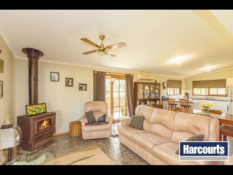 386 Ferndale Strezlecki Road, Ferndale VIC 3821