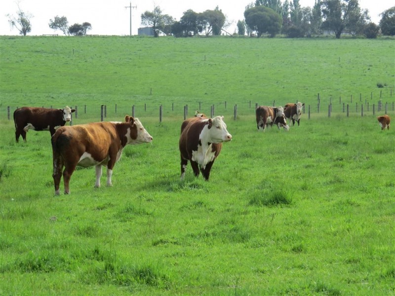 Lot 1 Yarragon Shady Creek Road, Yarragon VIC 3823