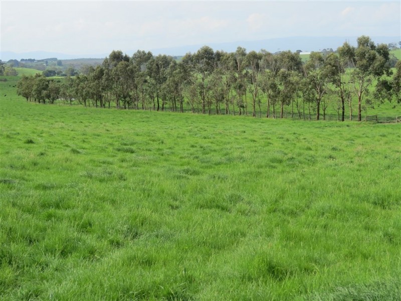 Lot 1 Yarragon Shady Creek Road, Yarragon VIC 3823