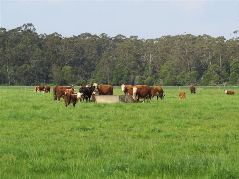 Lot 1 Yarragon Shady Creek Road, Yarragon VIC 3823