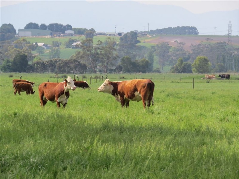 Lot 1 Yarragon Shady Creek Road, Yarragon VIC 3823