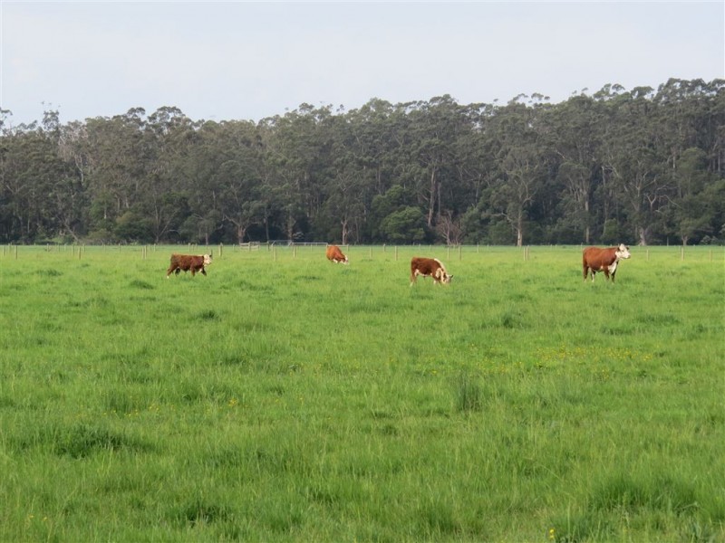 Lot 1 Yarragon Shady Creek Road, Yarragon VIC 3823