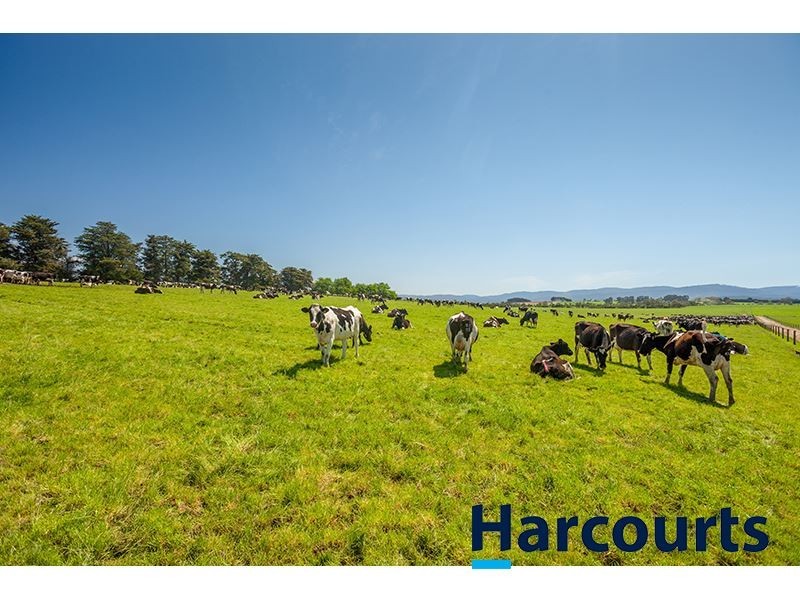385 Labertouche North Road, Labertouche VIC 3816