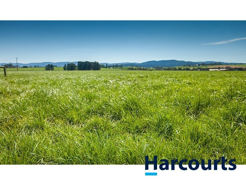 385 Labertouche North Road, Labertouche VIC 3816