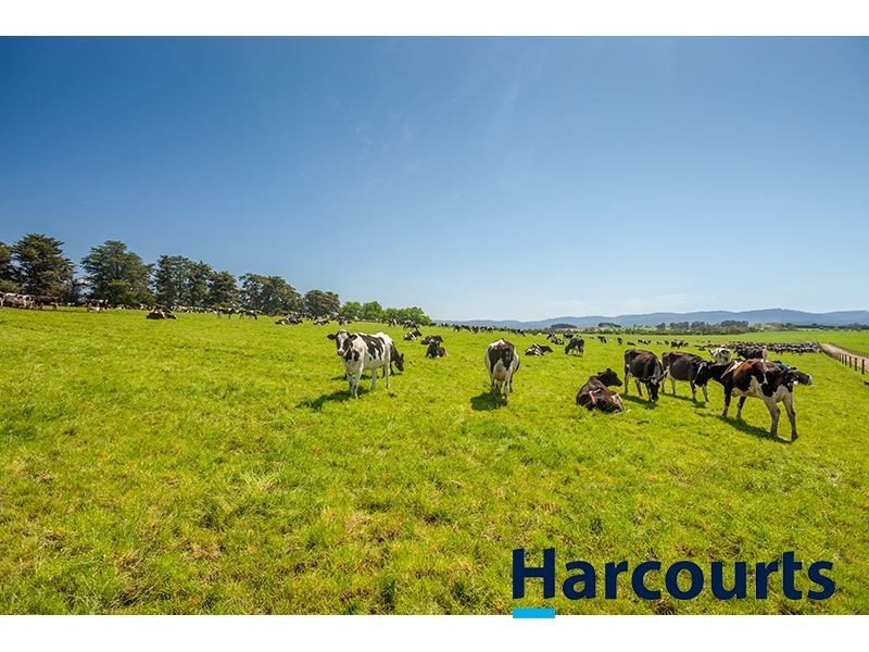 385 Labertouche North Road, Labertouche VIC 3816