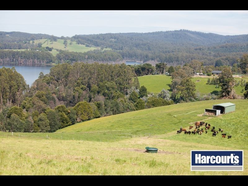 320 Wagners Road, Neerim South VIC 3831