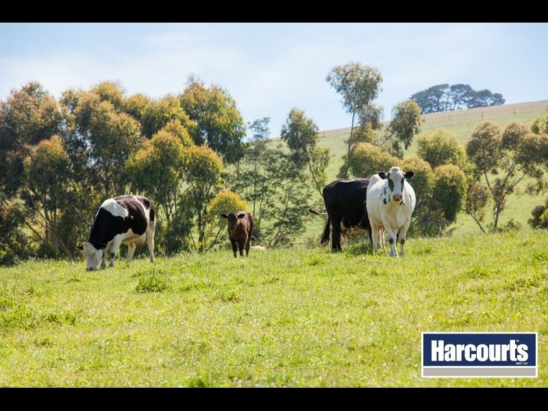 320 Wagners Road, Neerim South VIC 3831